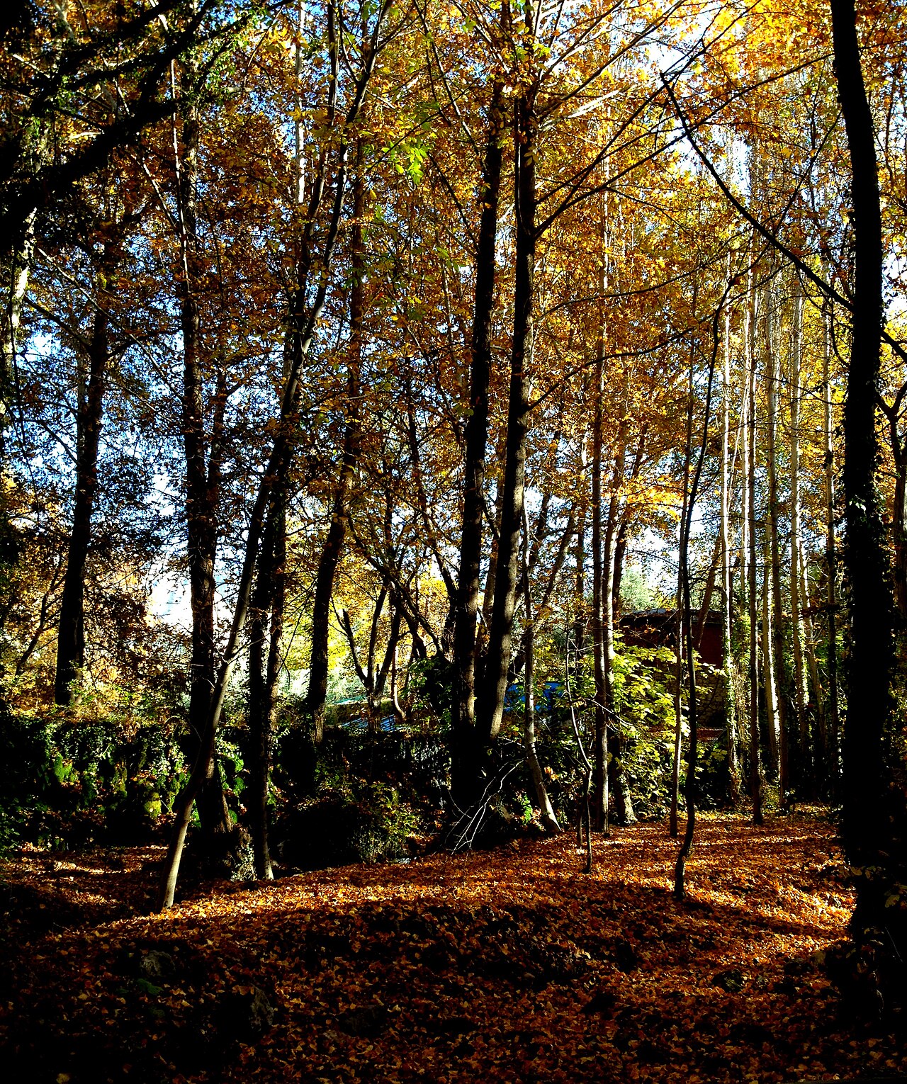 Zeyve Pazarı Mesire Alanı, Karaman