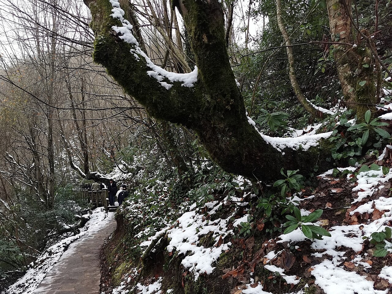 Aydınpınar Şelalesi Tabiat Parkı, Düzce