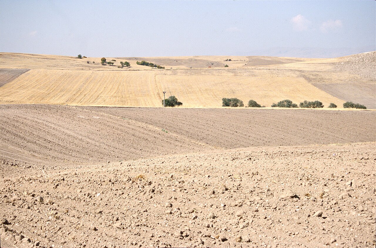 Bozok Yaylası, Yozgat