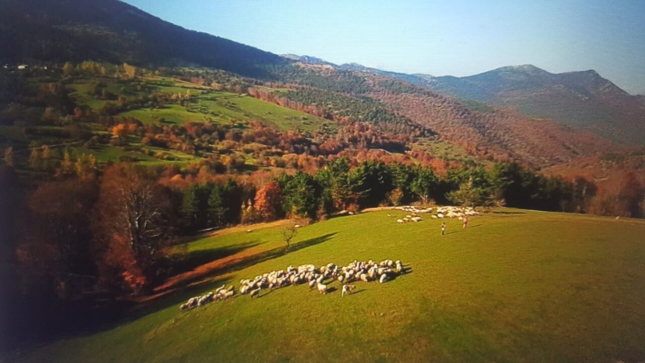 Dumanlı Yaylası, Tokat