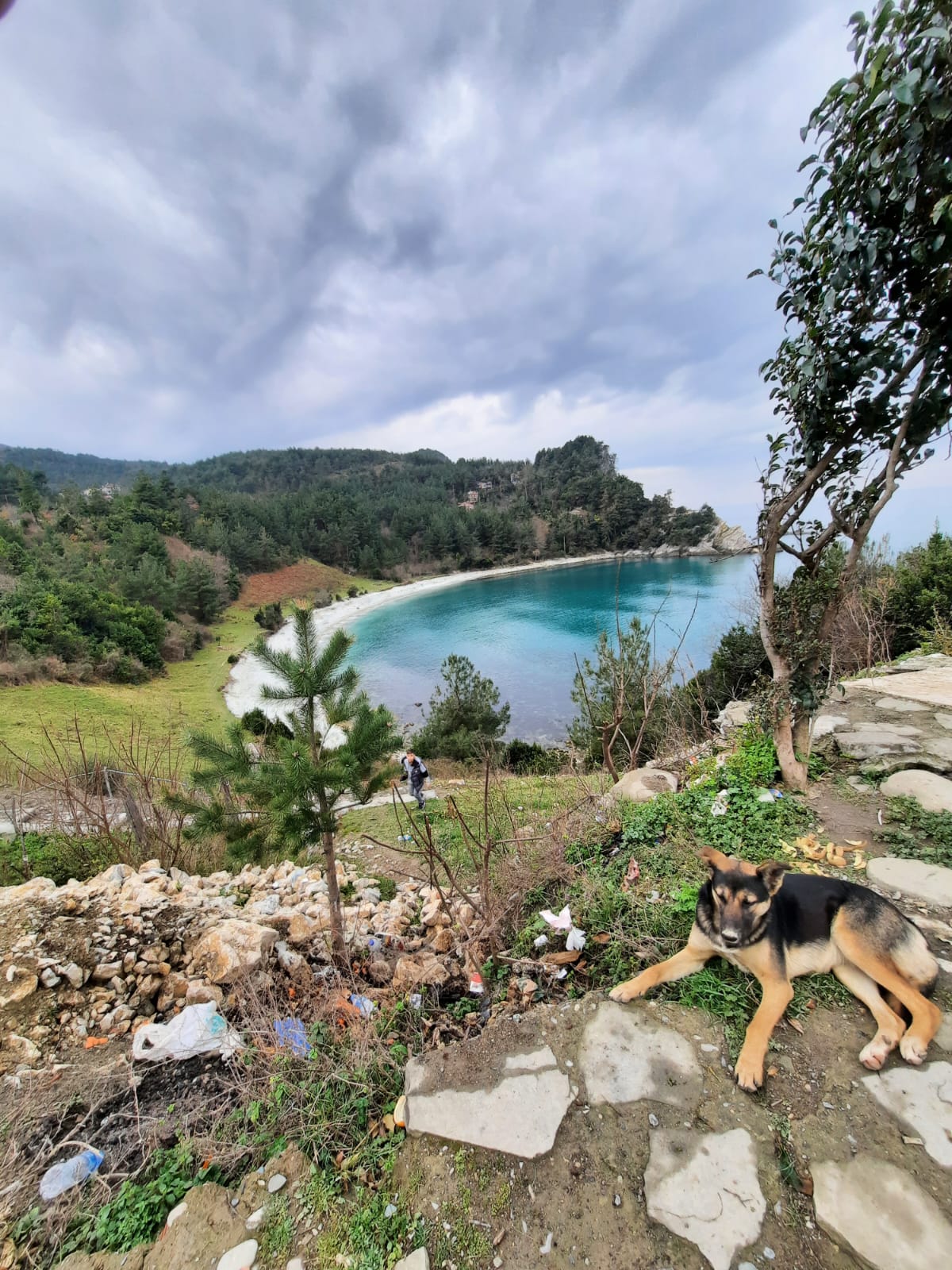 Ginolu Koyu, Kastamonu