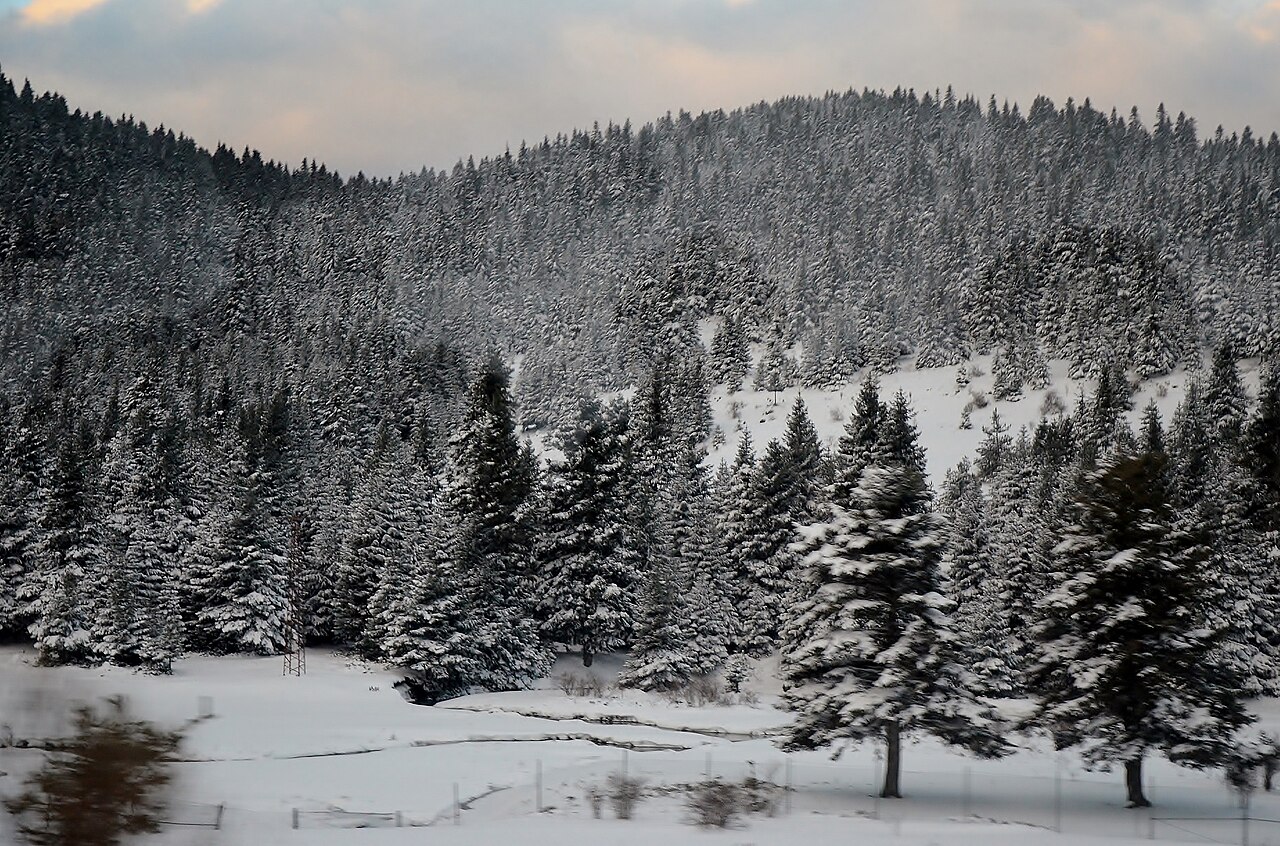 Köroğlu Dağları, Bolu