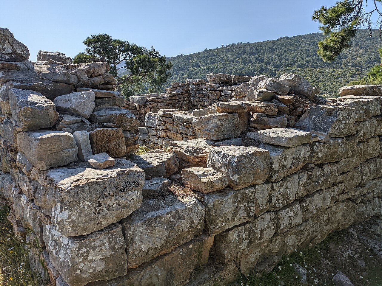 Pedasa Antik Kenti, Muğla