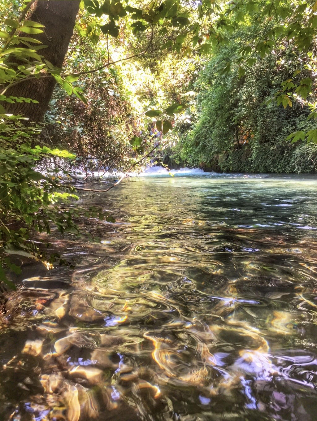 Yuvarlakçay, Muğla